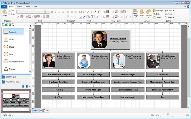 Organizational chart final result after layout
